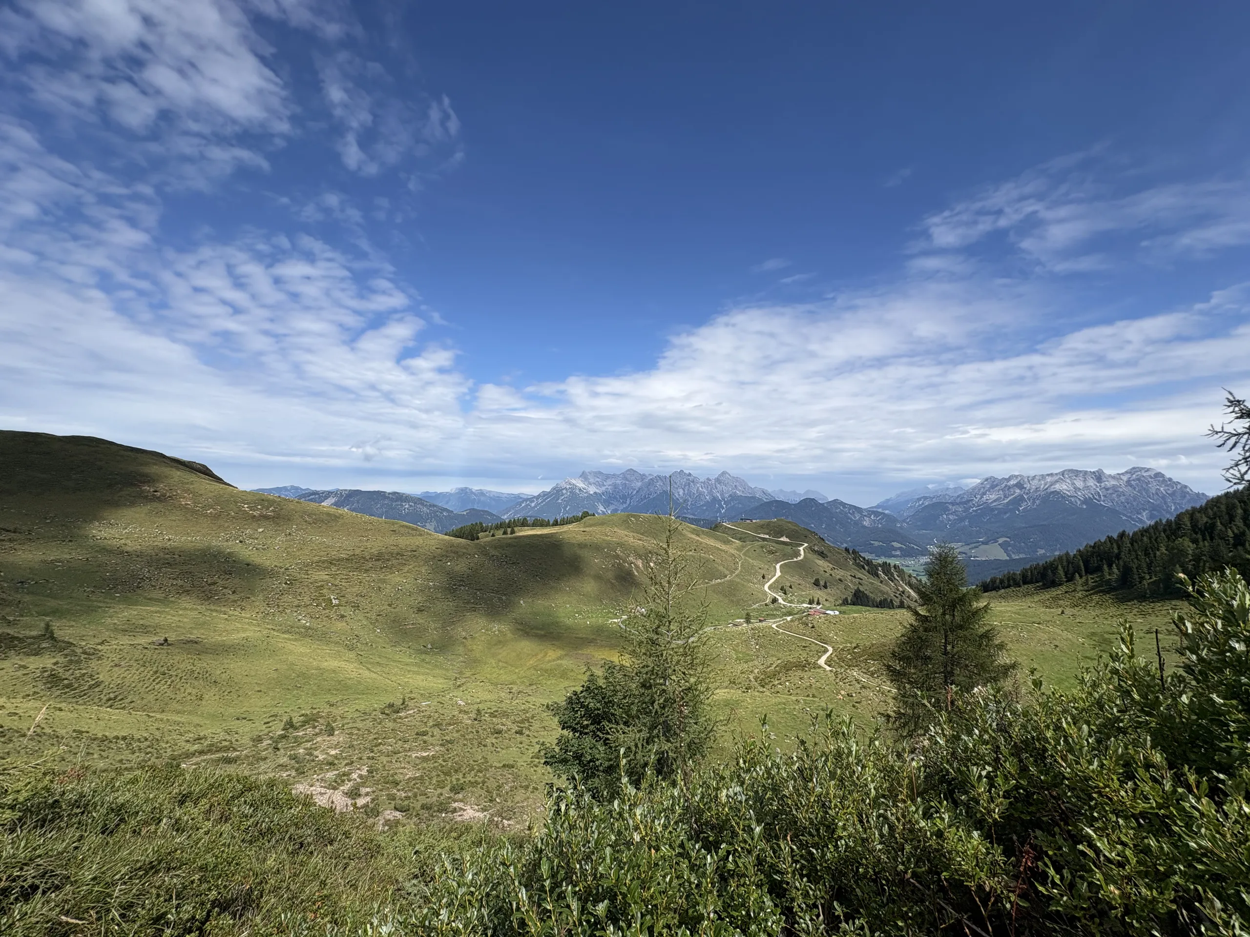Weisenbläser-Bank auf dem Wildseeloder, Fieberbrunn (3/3)