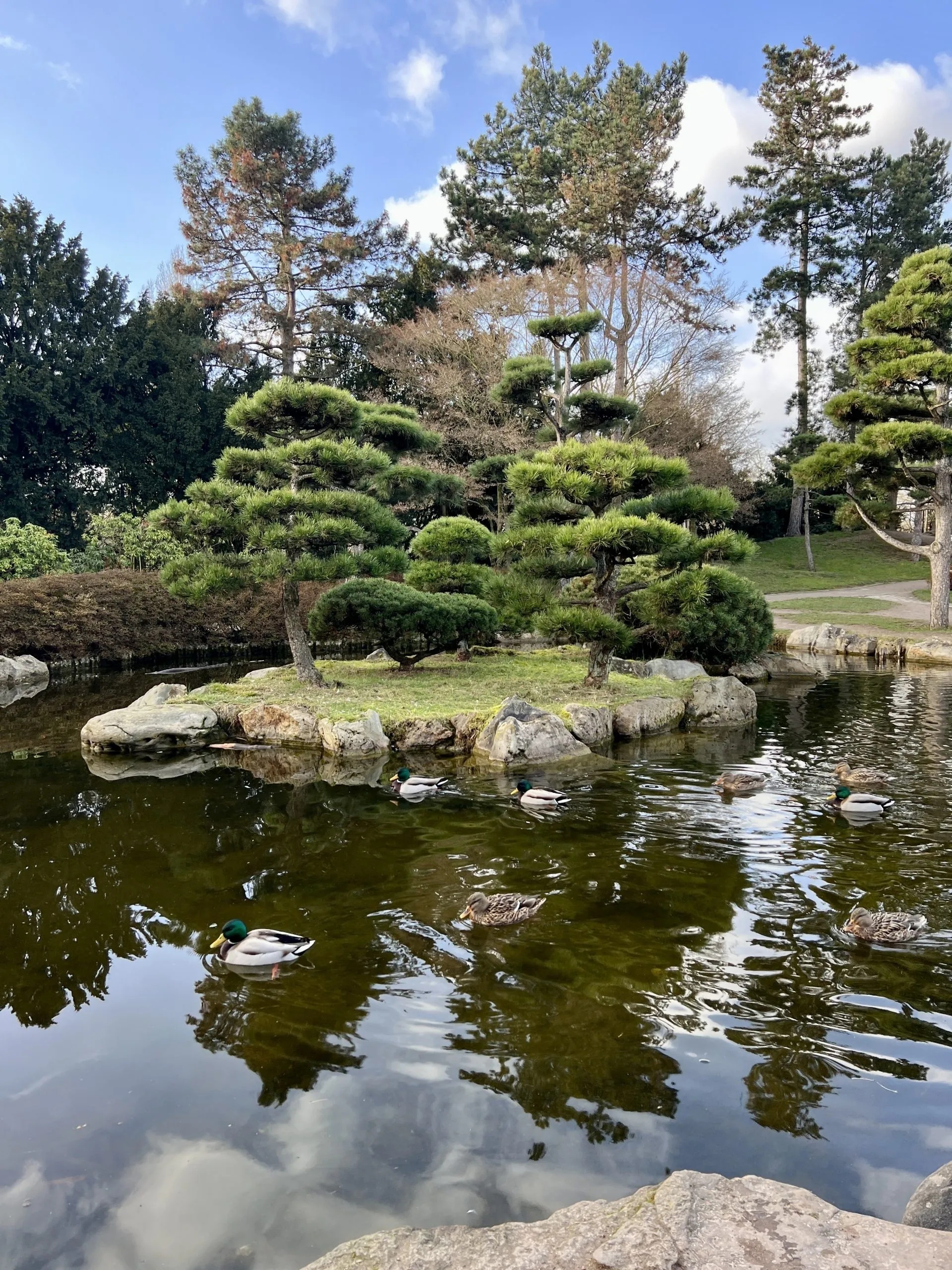 Japanischer Garten Düsseldorf, Düsseldorf (3/4)