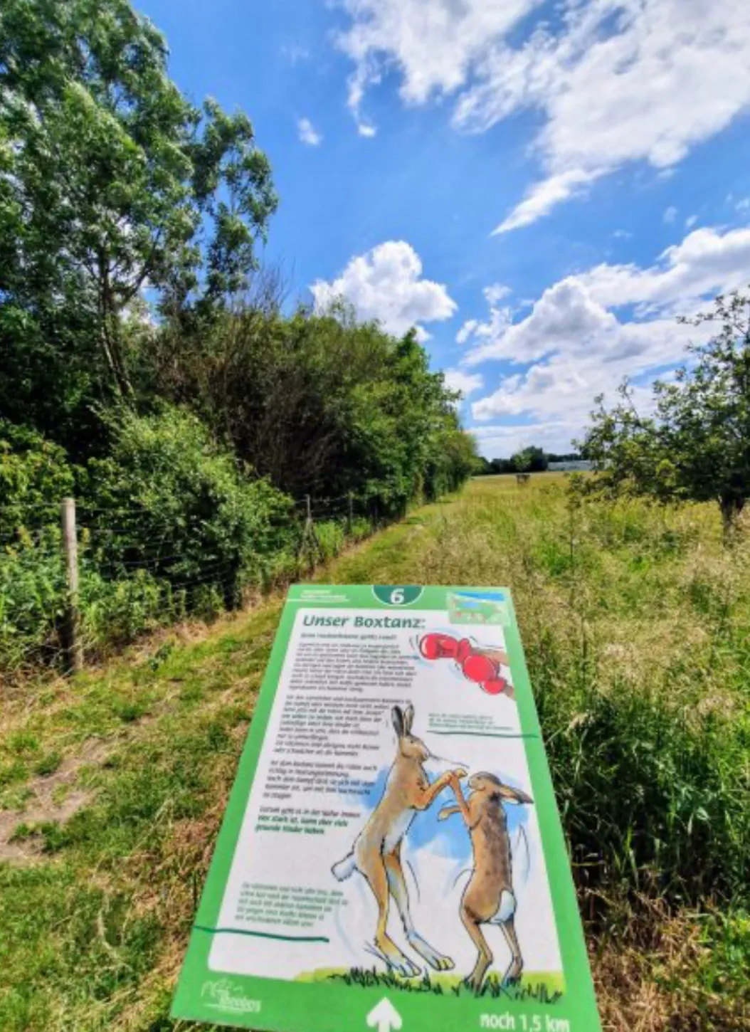 Hasenpfad Rheinberg-Eversael, Rheinberg (3/4)