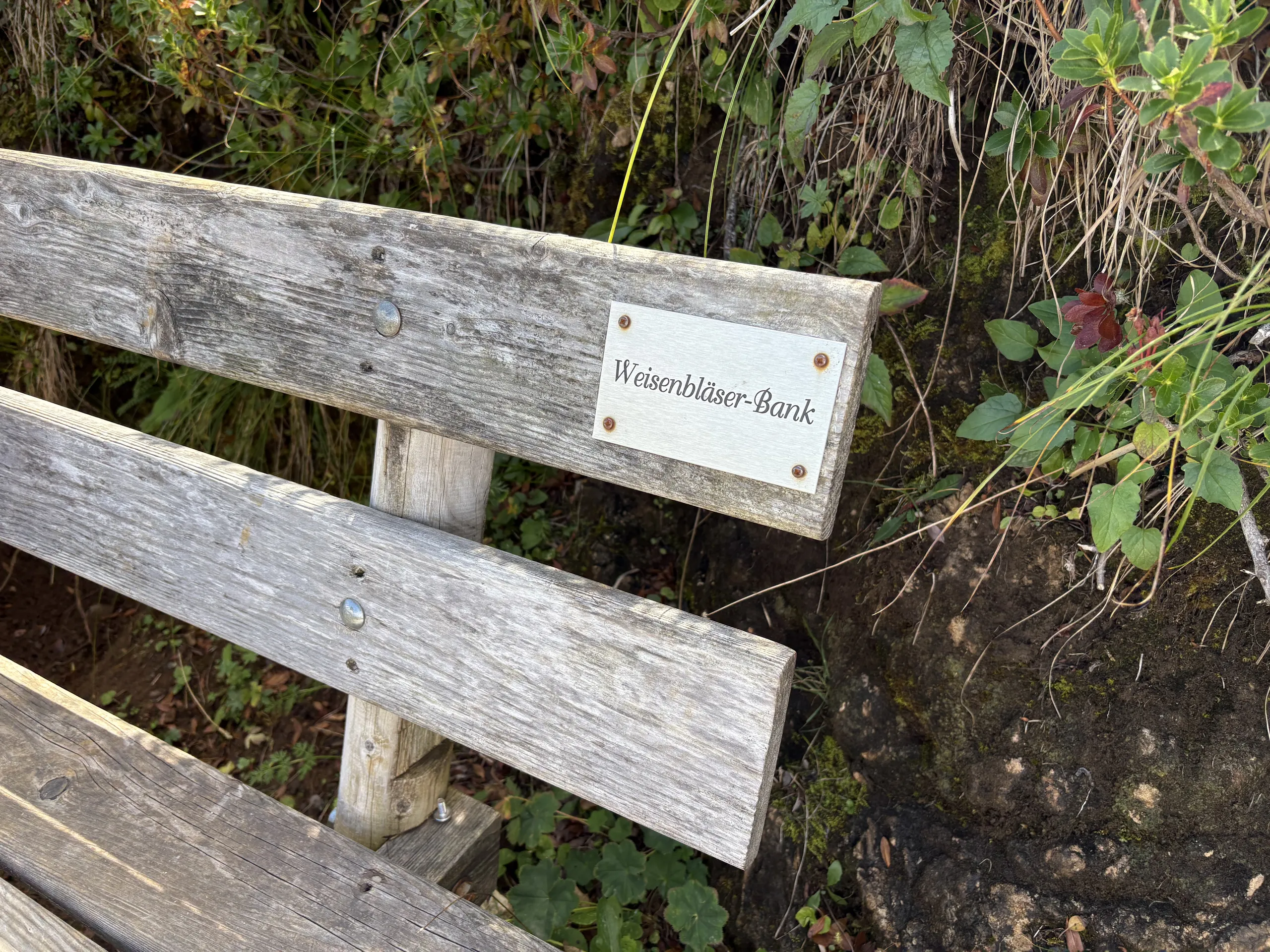 Weisenbläser-Bank auf dem Wildseeloder, Fieberbrunn (2/3)